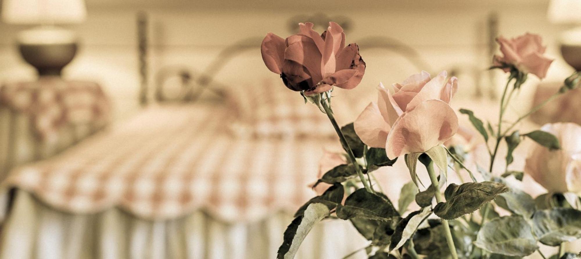 Villa Rosa Dunajska Streda Bagian luar foto