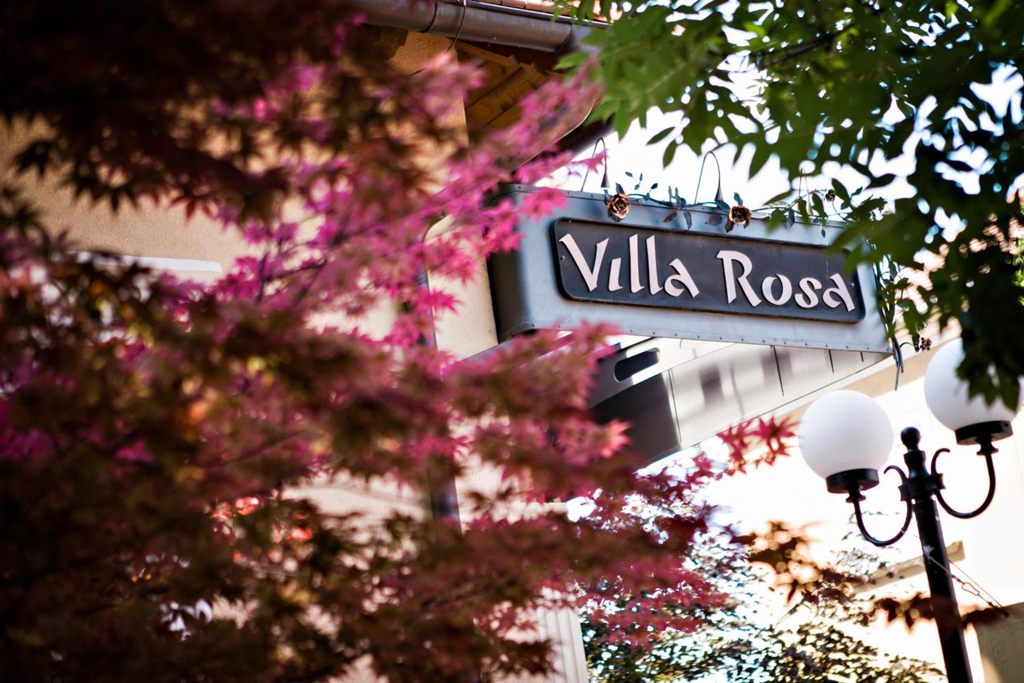 Villa Rosa Dunajska Streda Bagian luar foto